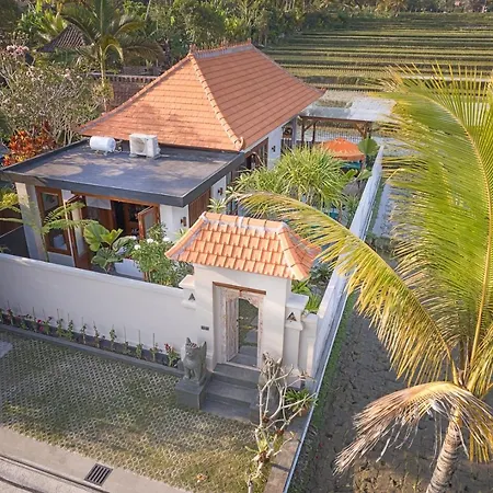 Dijero At Umah Bali Villa Ubud  Bagian luar foto