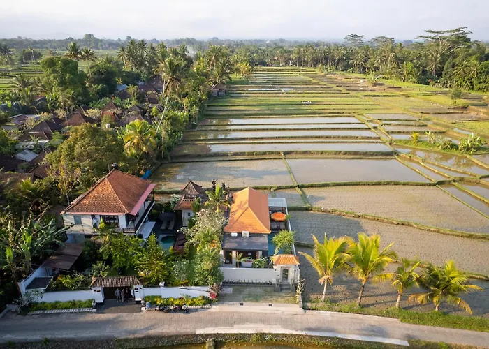 Dijero At Umah Bali